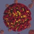 生物动画之新型冠状病毒 SARS-CoV-2 的结构