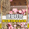 没想到当代网友人均诗仙！#万万没想到 #整活 #古人文学造诣高