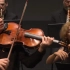 VC Young Artist Diyang Mei | Stamitz Viola Concerto | ARD Vi