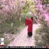 【央视网】春游正当时 穿上汉服与春天“约会”（2020年3月29日）