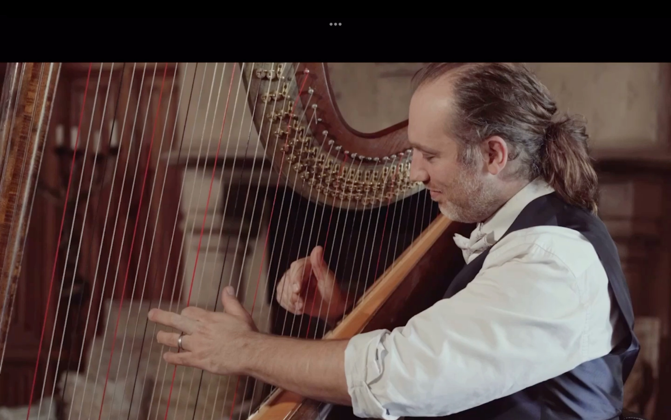 天堂电影院Love theme/Ennio Morricone /harp Cover Francois Pernel_哔哩哔哩_bilibili