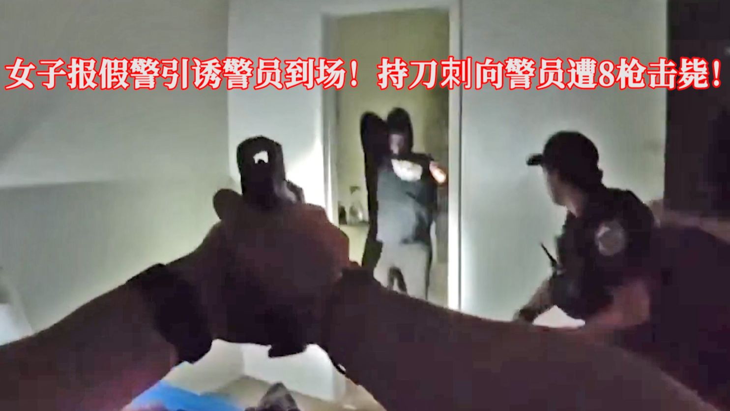 女子报假警引诱警员到场，持刀疯狂刺向警员遭8枪击毙！EP401