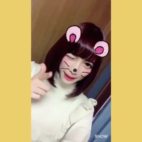 poppy pipopapo 的三骑士台词