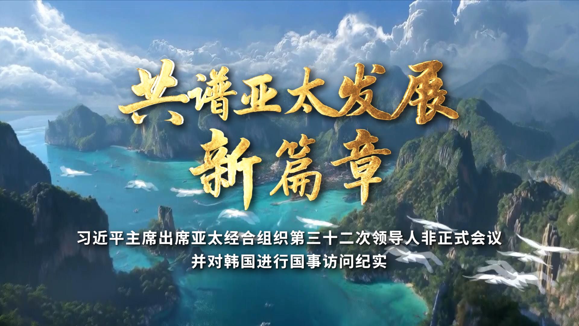 【时政纪录片】共谱亚太发展新篇章——习近平主席出席亚太经合组织第三十二次领导人非正式会议并对韩国进行国事访问纪实