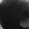 这是一颗毛茸茸的猫猫头