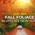 纽约州北部的秋叶 - 4K 风景驾车视频中的多彩秋日氛围