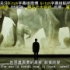 【Will Young】What The World Needs Now Is Love (WWF Campaign)（
