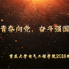 【团日活动】“青春向党，奋斗强国”主题团日活动