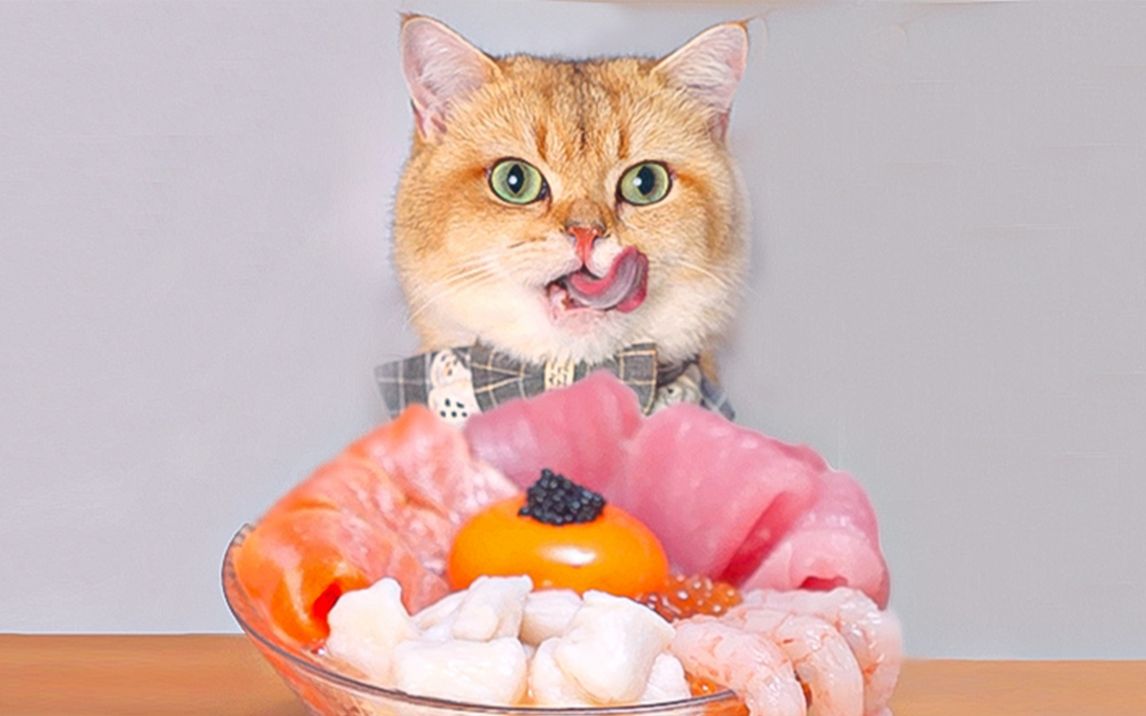 猫咪海鲜宝石碗，真的不敢想象有多好吃！