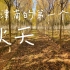 【iPhone11拍摄】在津南的第一个秋天