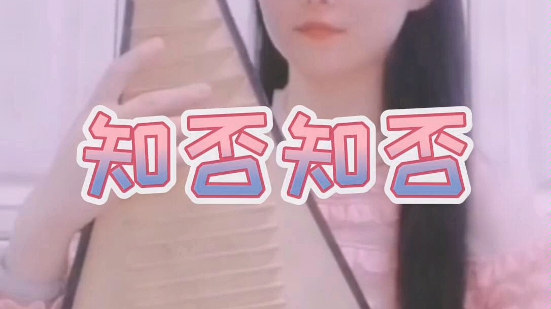 琵琶版知否知否