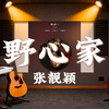 【单曲循环】张靓颖《野心家》｜“不认命算一种野心吗，我是天生野心家”，通透声线裹着傲骨锋芒，旋律铿锵破局，藏着女子无畏世俗、逆势而上的孤勇与荣光