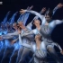 【天音帅气群舞】《搏击翱翔》第六届华北五省舞蹈大赛