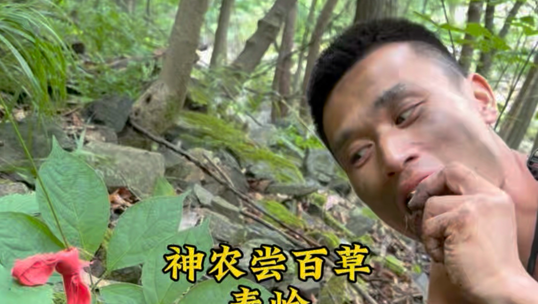 兄弟们回家跟她拼了！