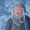 西毒北丐大战华山之巅，欧阳锋与洪七公斗了一生