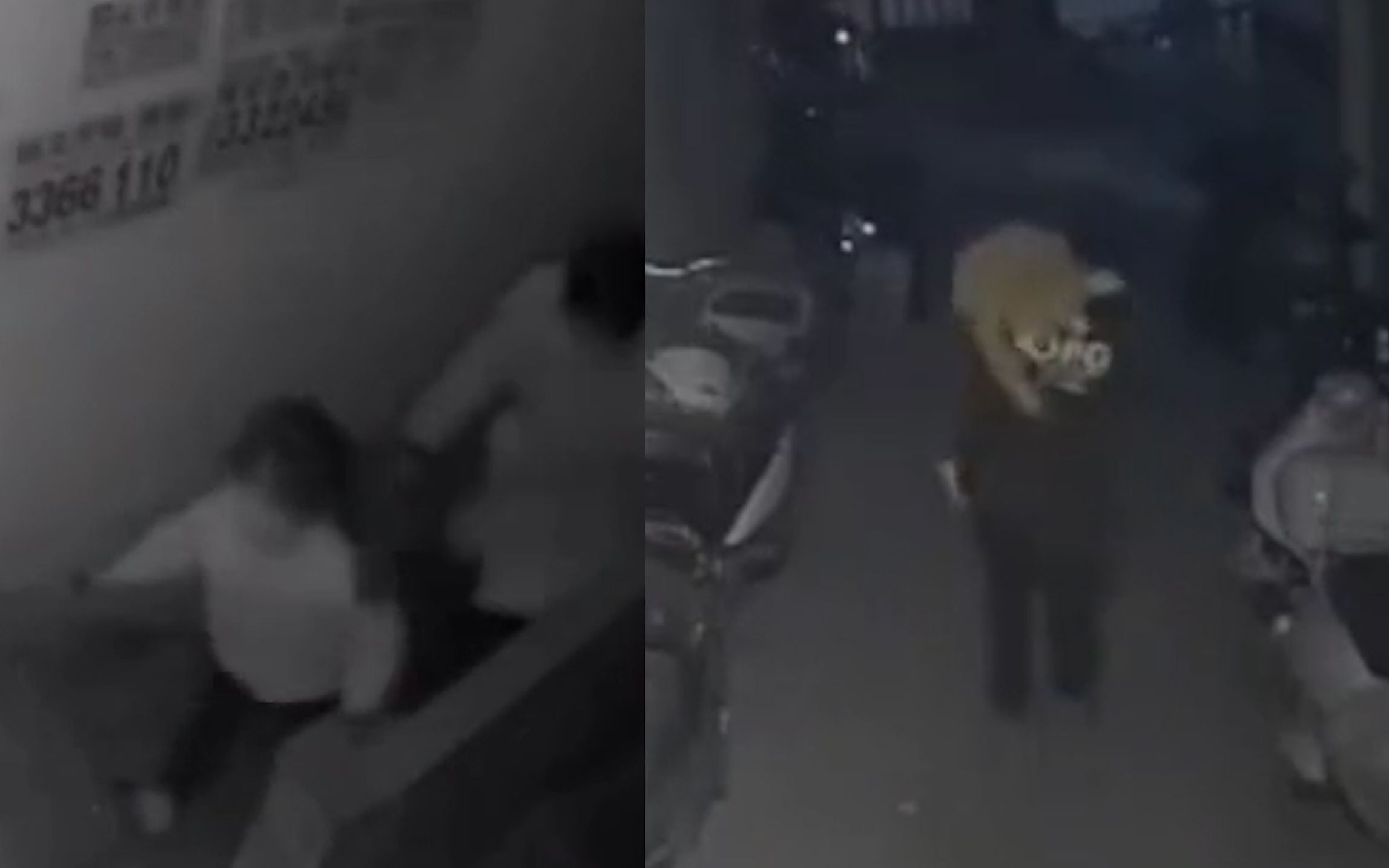 女童夜晚在楼道遭男子尾随后抱走 湖南警方：犯罪嫌疑人被抓获