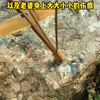 597693-重生后主动替老婆的白月光背黑锅