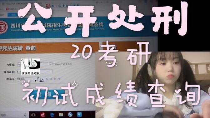 20考研初试成绩查询/四川/电子科技大学/MTI 翻译