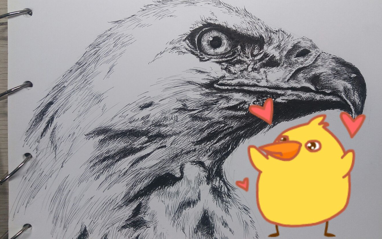 【速写 画个鸟啊