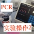 PCR聚合酶链反应实验步骤2--加样