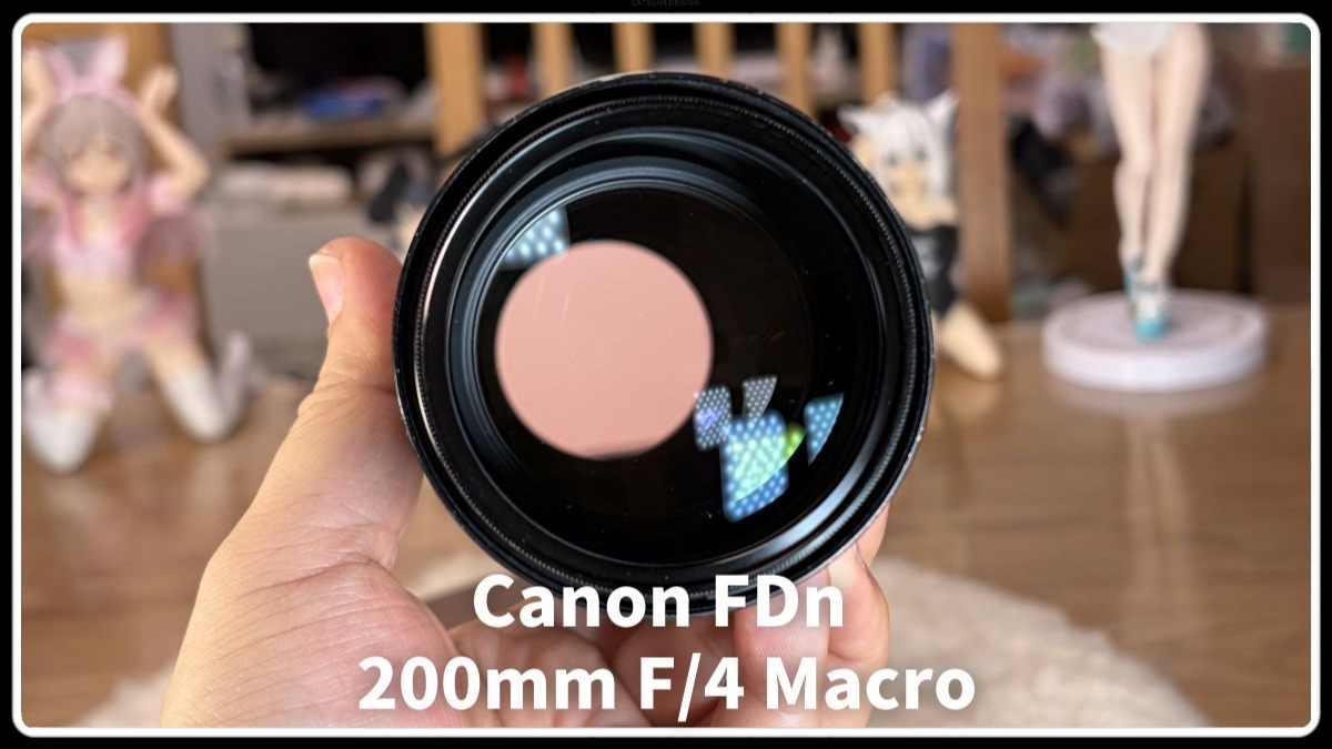 【除了画画啥都会】展示简测佳能nfd 200 f4 微距 macro  转接4433基本可用 因为后口限制有些遮挡 画质全靠无敌 猫猫最爱 无敌长焦大炮筒