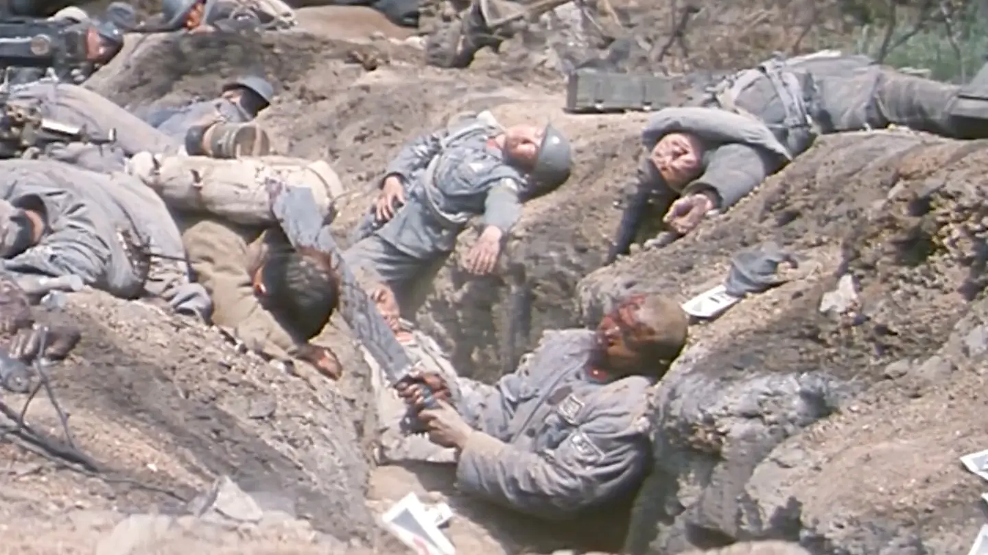 一寸山河一寸血,29万军人浴血奋战