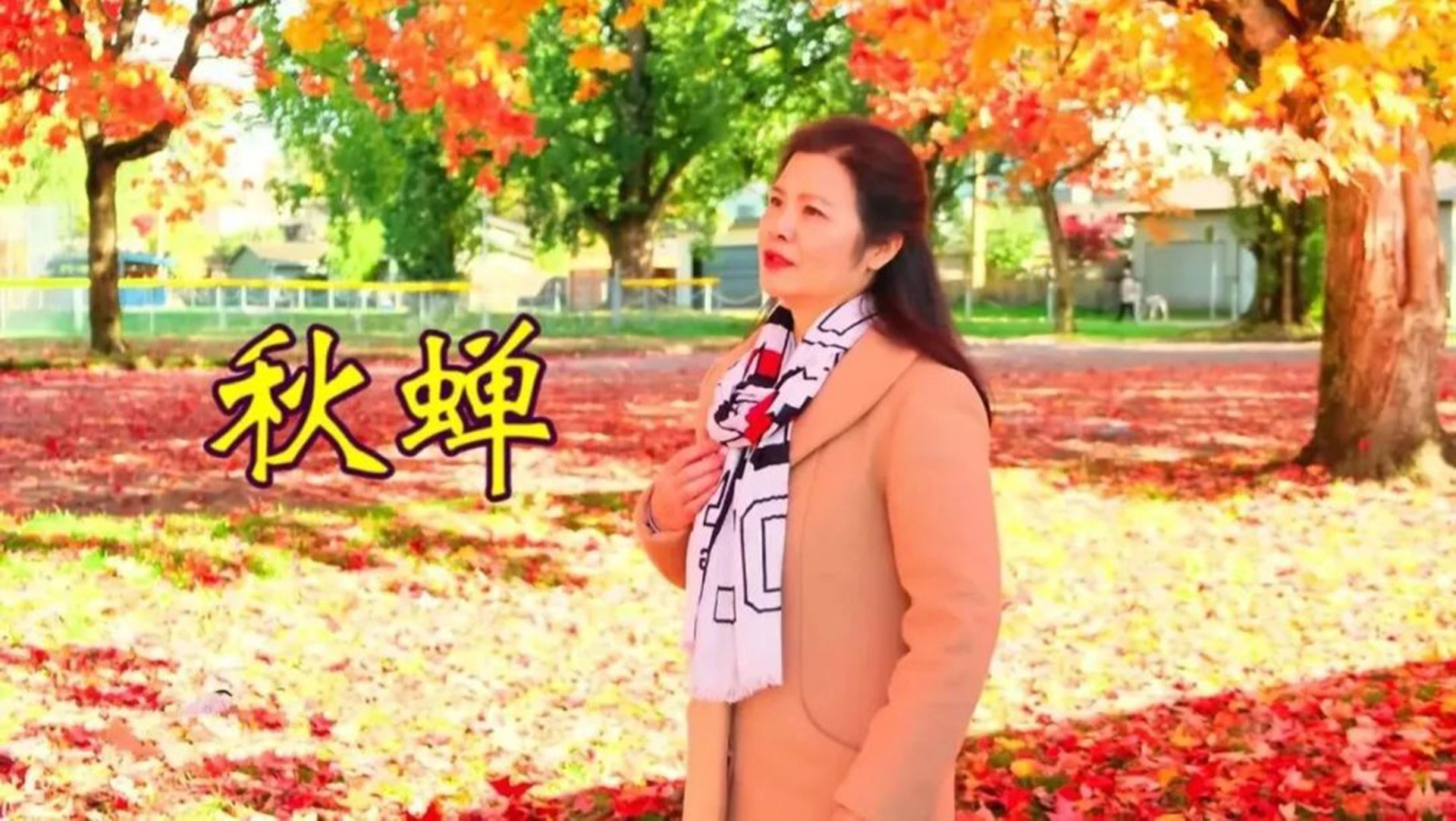 陈敏女中音版《秋蝉》，歌声柔美磁性，娓娓动听