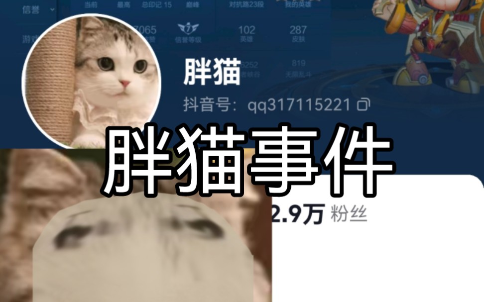 《胖猫事件》