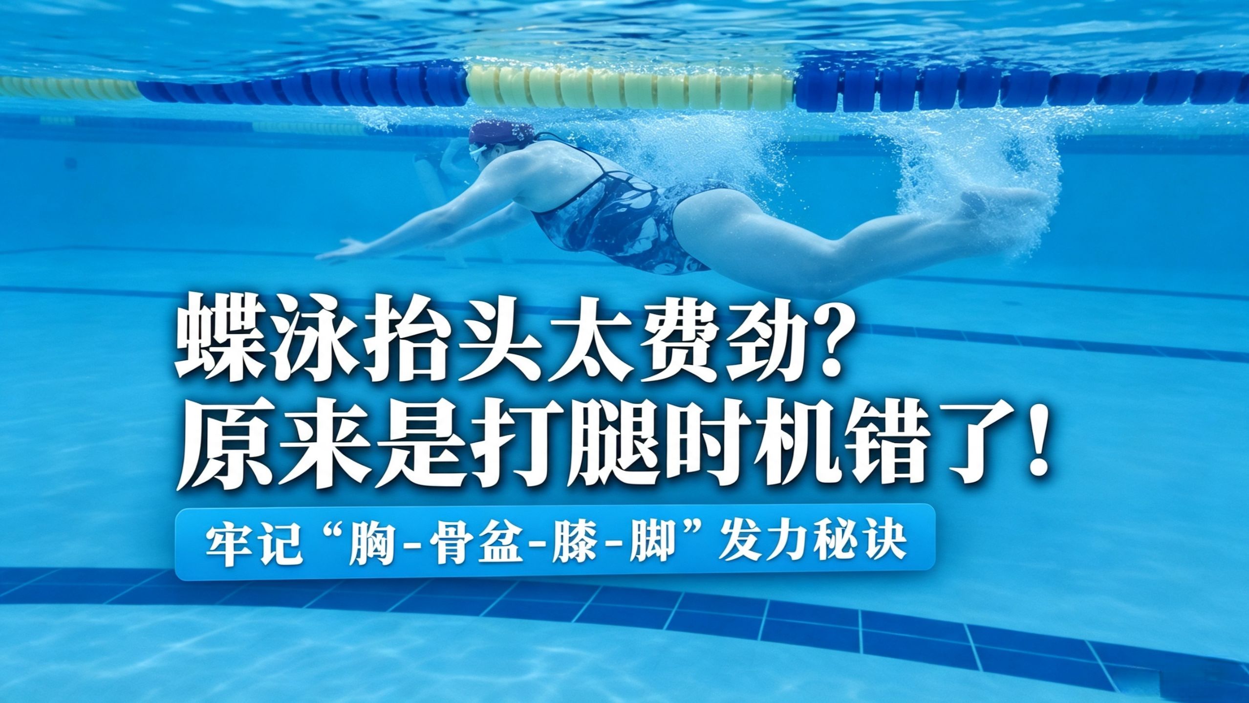 蝶泳抬头太费劲？打腿时机错了！牢记“胸-骨盆-膝-脚”发力