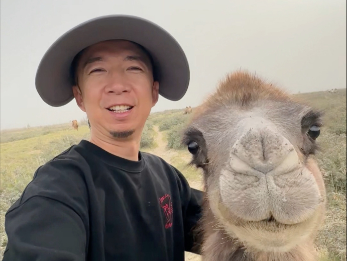没有特别的食物了 小骆驼正在长身体吃点漂亮饭吧