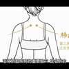 每日养生一穴之肺俞穴