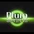 【Plum/音乐合集】又是一个小时的清新小合集