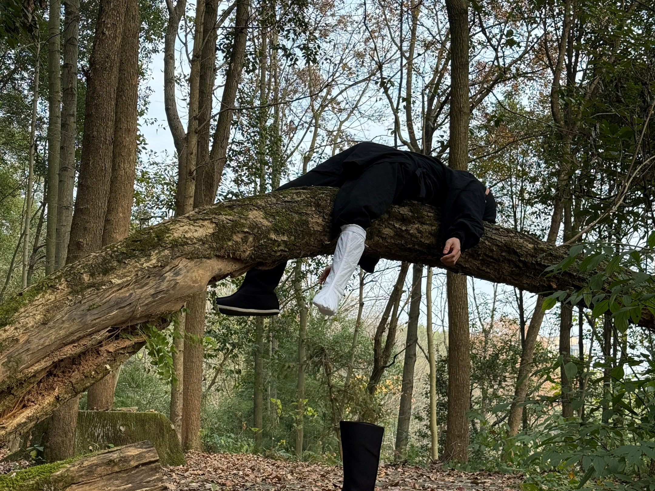 黑衣人被打败，被扔树上了，布靴被扒了