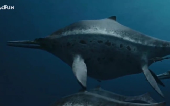 雷克斯海：沙尼鱼龙。身长22.8米。体重50吨。它属于鱼龙的一大类统治海洋长达约1.5亿年这个看起来小得什么都征服不了也有大型鱼龙比如沙尼鱼龙是其中最大的和所。