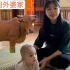 越南小惠带佳欣和小横回我家，我妈妈杀了一头牛招待我们。