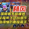 国服典韦林风巅峰赛全程高能带飞，团战操作看得懂的都是高手