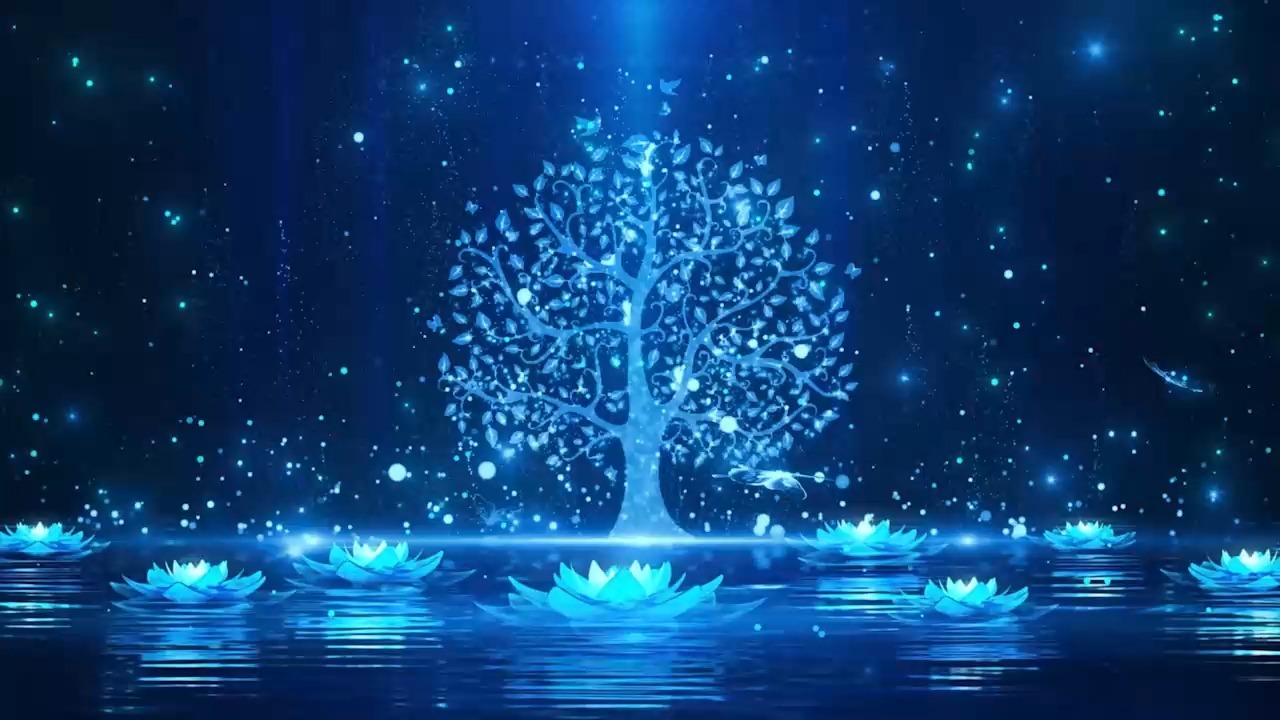 《世界赠与我的》歌曲演出伴奏唯美温馨浪漫LED舞台背景视频