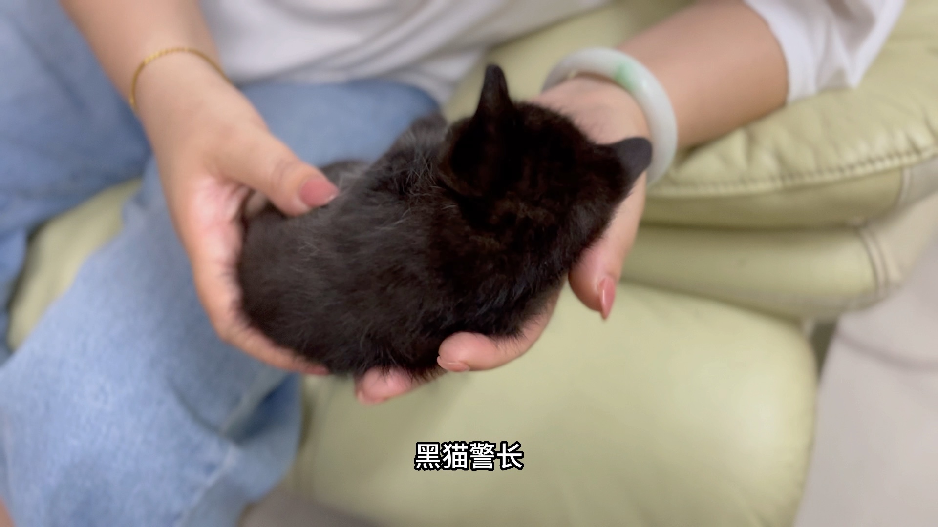 你永远叫不醒一只熟睡的小奶猫………_哔哩哔哩_bilibili