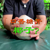 口香糖能开椰子？这是在开玩笑吧
