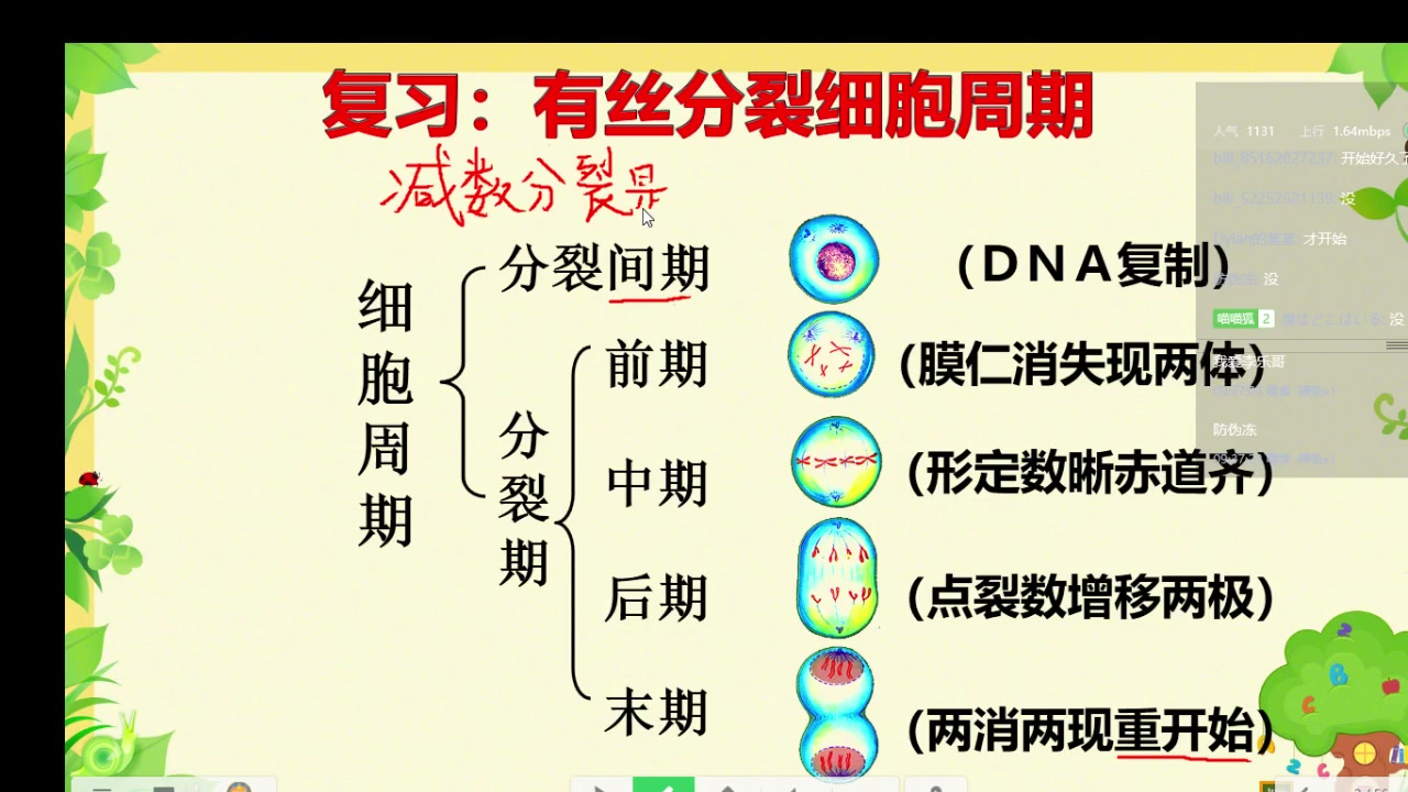 减数分裂 哔哩哔哩 つロ干杯 bilibili