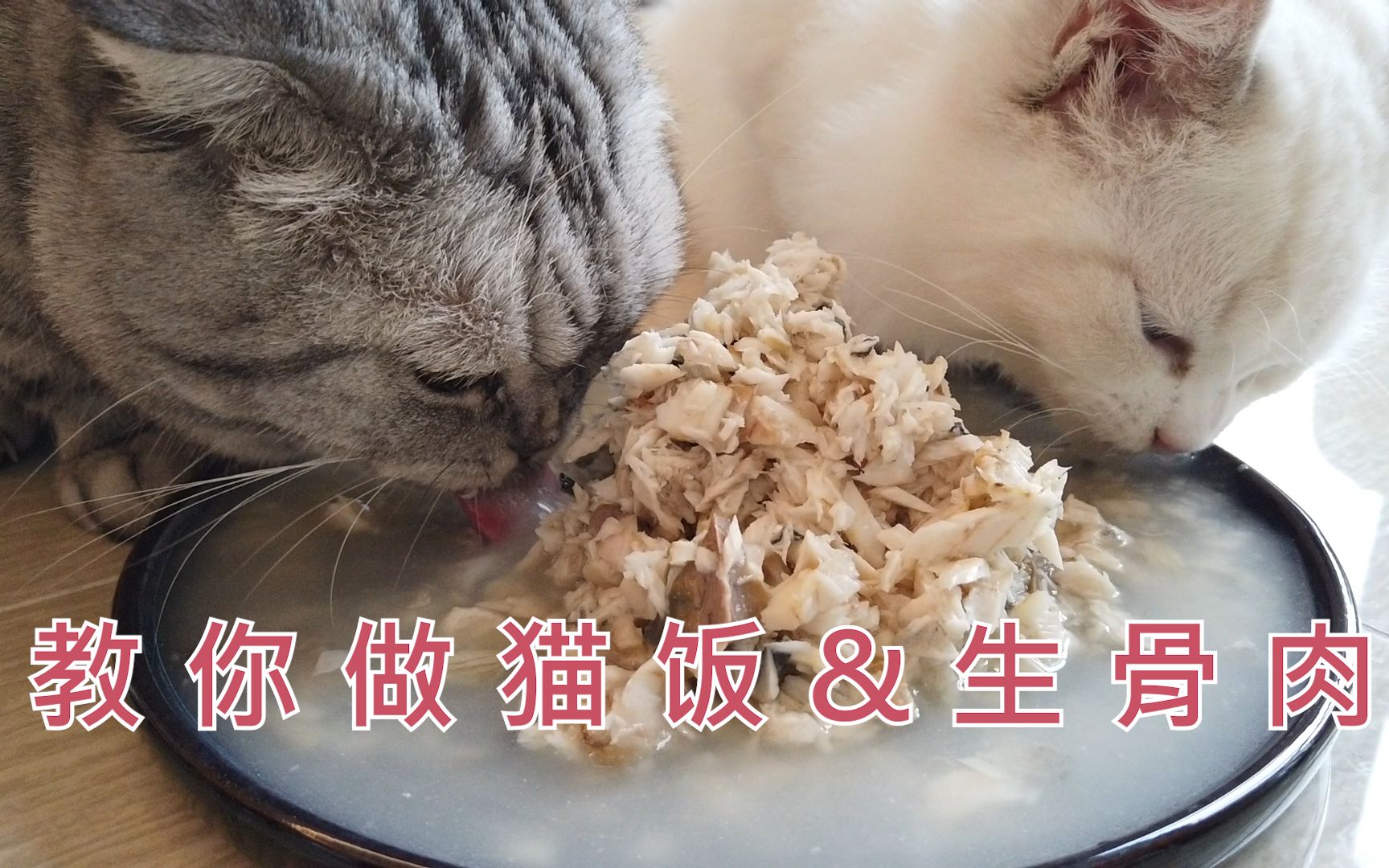 猫粮怎么做_猫粮的做法_豆果美食