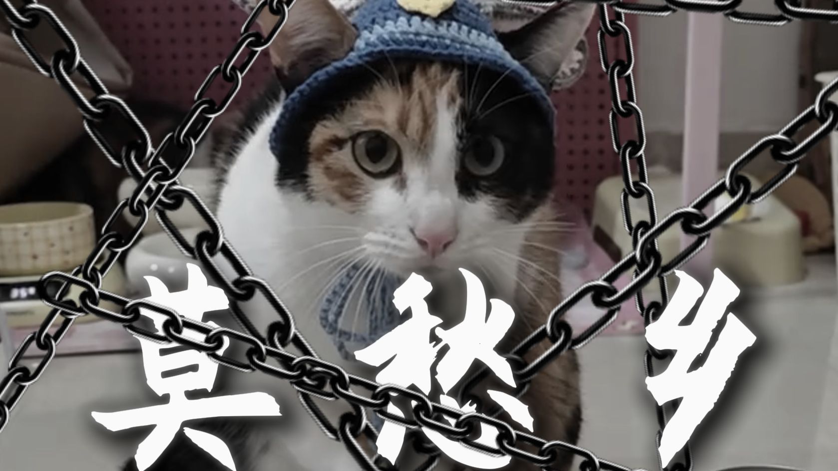 “我被困在了，萝卜纸巾的选择中”