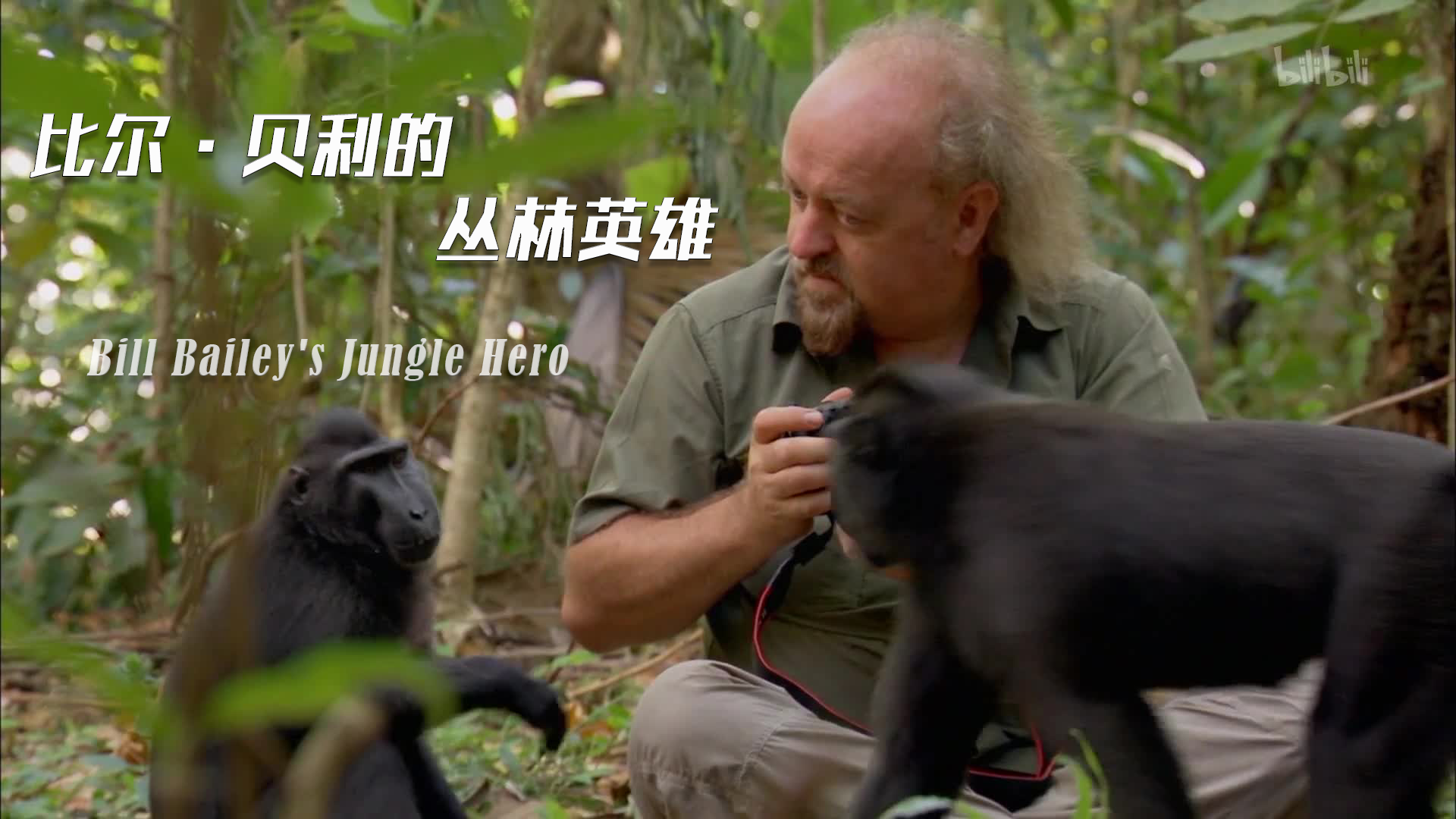 【纪录片】比尔·贝利的丛林英雄-Bill Bailey's Jungle Hero