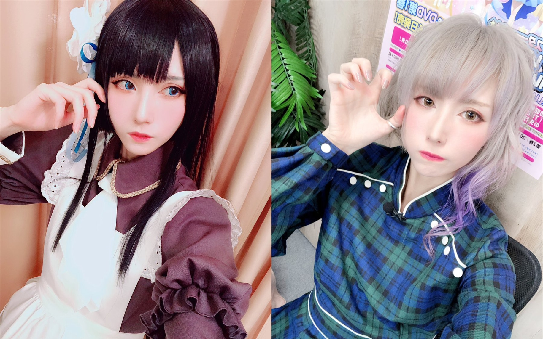 青木志貴 Twitch定期配信 哔哩哔哩 つロ干杯 Bilibili