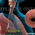 【3D医学动画】支气管镜检查（中英双字幕+原版英文）