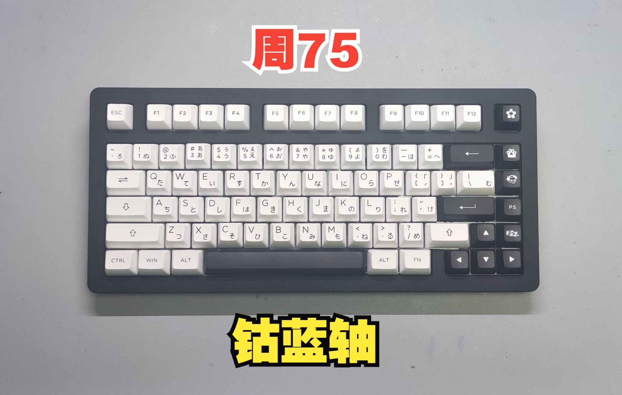 CP70B 下部鍵盤 美品 biocheck.cl