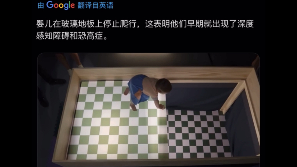 推特X1400万浏览帖：婴儿在玻璃地板上停止爬行，这表明他们早期已具备深度感知能力以及对高处的恐惧。【推特X热帖】