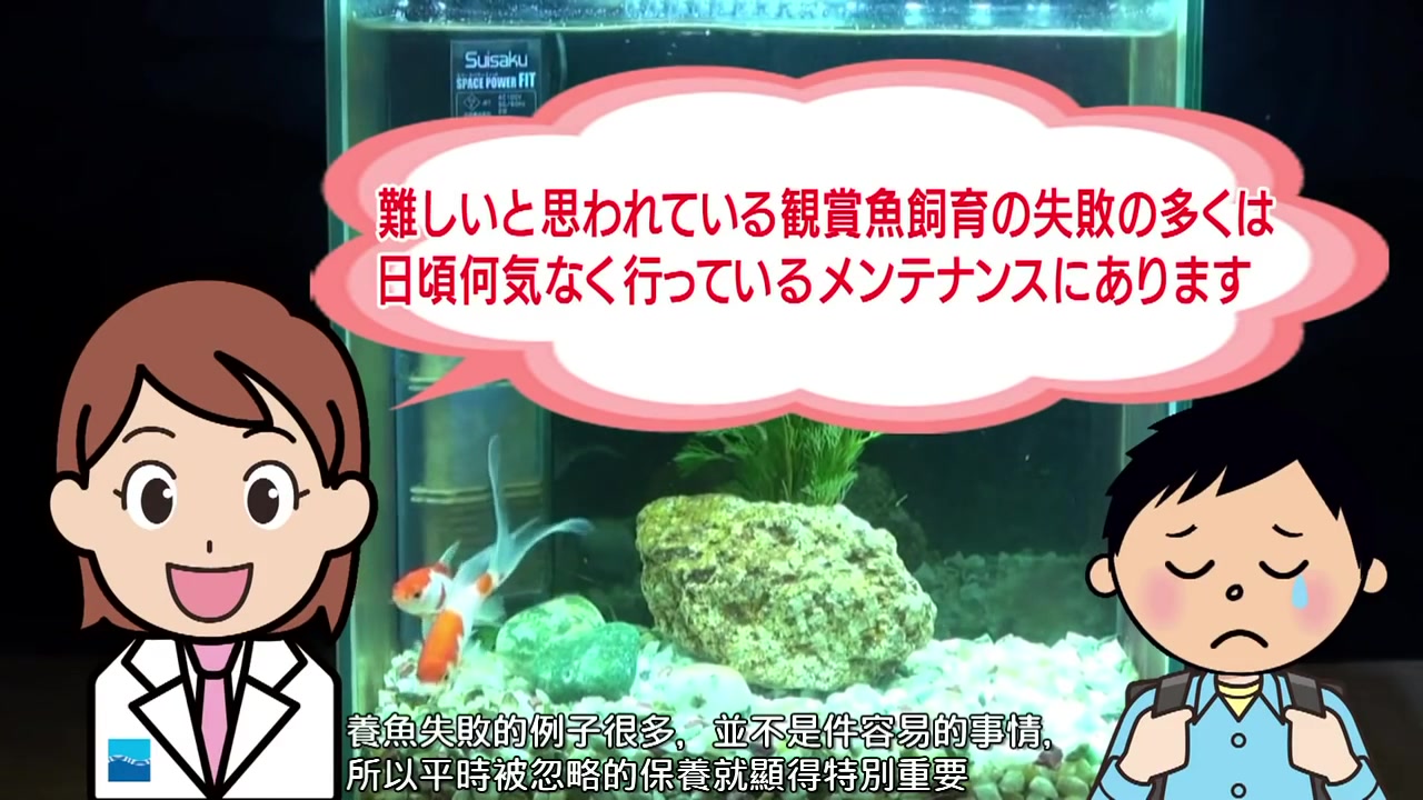 【日本水作Suisaku水族用品】鱼缸日常维护教学哔哩哔哩bilibili