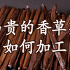 历经20天，在家就能做的香草加工工艺，竟然如此简单