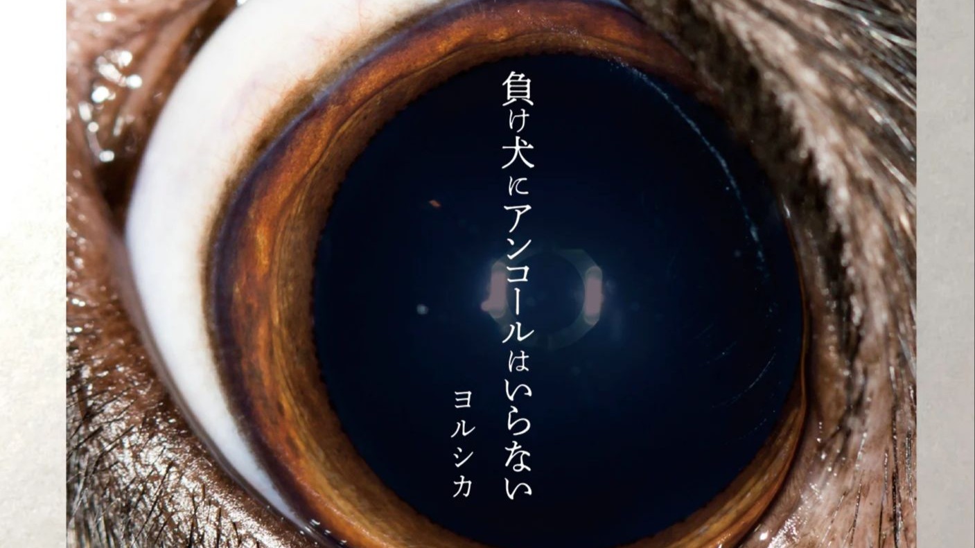 【Hi-Res无损音质】爆弹魔-ヨルシカ（Yorushika） 无损音质纯享